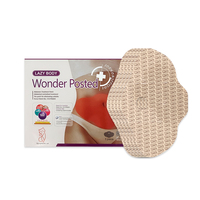 Parches Adelgazantes para Abdomen de Marca Privada, Envolturas Corporales con Tela No Tejida, Certificación CE para Quemar Grasa