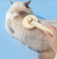 Brosses en acier inoxydable pour animaux de compagnie, vente en gros, brosses pour chiens, nœuds de poils, massage, peignes pour chats, brosse pour poils de chats