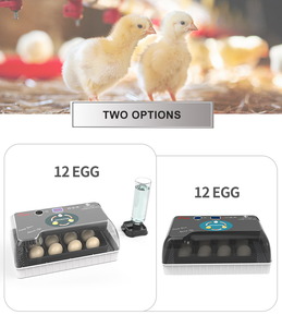 Wonegg HHD 12 lồng ấp <span class=keywords><strong>rcom</strong></span> lồng ấp trứng tự động hộp ấp trứng gà mái tự động - Product Image 2