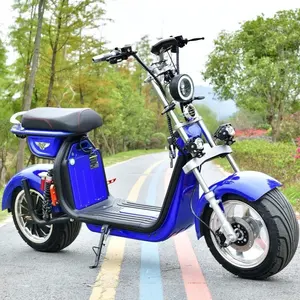 2023 Zhejiang 250W Motorized Scooter Electric For Adults