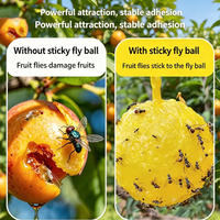 Hot verkopende tuinkas fruitvlieg lijm insectenvanger wegwerp vliegenvanger kleverige lijm fruitvlieg valbal