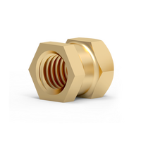 Molded in Brass Threaded Insert for Plastic Injection Molding Factory