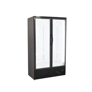 冷凍庫2ドア Suppliers-1020L2ドアガラスドアペプシフリーザー業務用ディスプレイ冷蔵庫