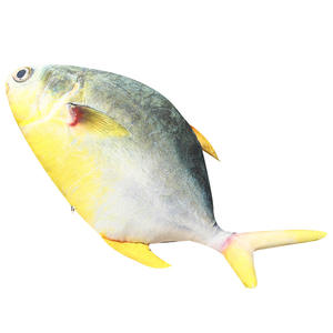 Neues Produkt Grenz überschreiten des Aquarium Schwertfisch Zacken barsch Ornament PP Baumwoll simulation Ozean Fisch puppe Kissen Stress abbau Bären spielzeug - Product Image 1