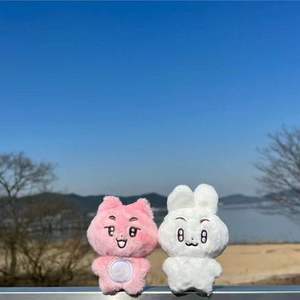 Usine En Gros KPOP Porte-clés Doux En Peluche Poupée Couette avec Lapin <span class=keywords><strong>Pingouin</strong></span> TXT PP Coton Remplissage et Peluche Sac Pendentif - Product Image 2