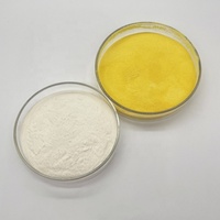 Cas aucun 1327 poudre du chlorure de polyaluminium 30 Pac charbon actif 25 kg/sac agent auxiliaire chimique de traitement de l'eau