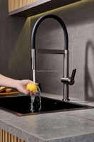Robinet de cuisine monocommande en laiton Maestro Spectrum 59H avec douchette extractible et rotation à 360°, gris anthracite, pour projets hôteliers