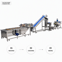Turnkey sap productielijn, fruit sap verwerkingsinstallatie, automatische was-, sap-, filter- en vulmachine, alles-in-één oplossing