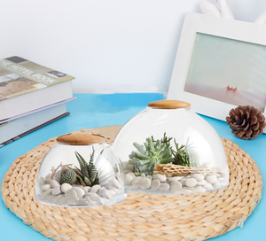Großhandel kunden spezifische kuppel förmige Glaster rarium häuser Miniatur-Ökosysteme Pflanzer Vase Glaster rarium mit Holzdeckel - Product Image 4