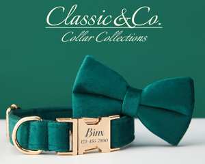 สายจูงสุนัขแบบผูกโบว์ส่วนตัวและปลอกคอสีเขียวมรกตพร้อมชื่อสลักบนหัวเข็มขัดโลหะ ของขวัญแต่งงาน จัดส่งฟรี - Product Image 2