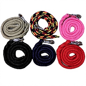 Heavy-Duty Nylon Pet/Horse Leash & Horse Bridle-15/16mm <b>Thick</b> Reinforced Alloy & Brass Hook 2m-4m Length Options - Product Image 3