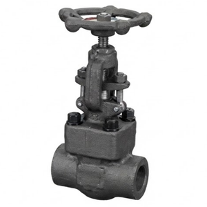 Válvula de Globo de Acero al Carbono Forjado 800LB con Diseño de Husillo Ascendente, Válvula de Control NPT BSPP para Soldadura por Enchufe - Product Image 4