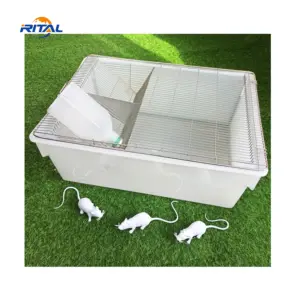 Wholesale Polypropylene Large Pet Plastic Animal tubs Lab PVC Laboratory Rodent Mice Mouse Breeding Rat Cage