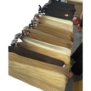 Meilleure vente Extensions de cheveux en bande 100% cheveux humains naturels pour les femmes noires de cheveux humains vietnamiens - Product Image 1