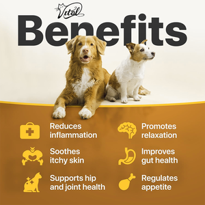 Charlie Buddy Hennepolie Hondensupplement-Heup/Gewricht En Huid Gezondheidsangst Verlichting Omega3 6 9 Vitamines B C E-DROPS Voor Immuunondersteuning - Product Image 3