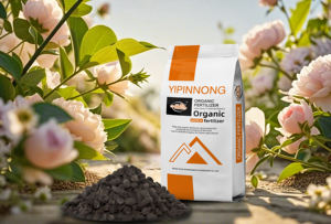 Engrais Organique NPK de <span class=keywords><strong>Fumier</strong></span> de Vache Noir de Qualité Export en Sacs de 50kg, Idéal pour Plantes et Légumes de Jardin - Product Image 6