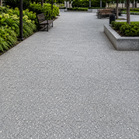 Pavé en granit vert sablé, pierre de basalte pour l'extérieur et les parcs, pavé extérieur polyvalent