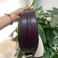 Sac bandoulière Z Home en PU de luxe léger pour femme, capacité 2L, nouvelle collection printemps 2026, coutures contrastées, trois bandes