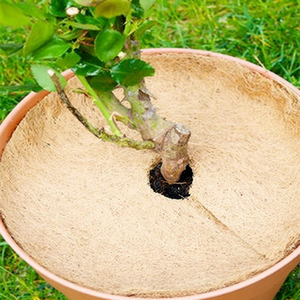 Eco2go Vietnam Anillo de Fibra de Coco para Plantas - Diseño Moderno para Plántulas - 100% Natural, Ecológico y Biodegradable - Product Image 1