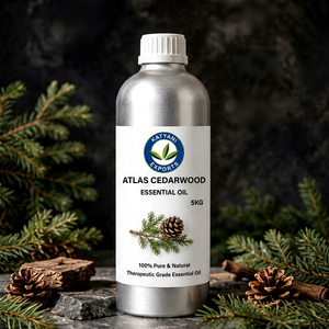 Aceite Esencial de Cedro de Atlas Cedrus Atlantica, Aroma Amaderado Natural, Aplicaciones Cosméticas, 100% Puro, Destilado al Vapor - Product Image 2