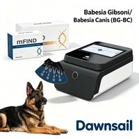 Appareil de diagnostic PCR pour animaux de compagnie DawnSail, classe II/III, kit de test ADN 2-en-1 BG/BC pour la Babesia Gibsoni Canis et les maladies animales