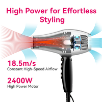 Sèche-cheveux professionnel FirePhoenix 8101X à moteur sans balais haute vitesse 2400W 23000RPM, contrôle des frisottis ionique négatif, pour salon et usage domestique