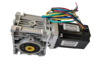 Nouvelle technologie Durable métal engrenage à vis sans fin 24v 36v 48v 250w 3000 tr/min haute puissance 24V moteur à engrenages à courant continu sans balais avec engrenage à vis sans fin