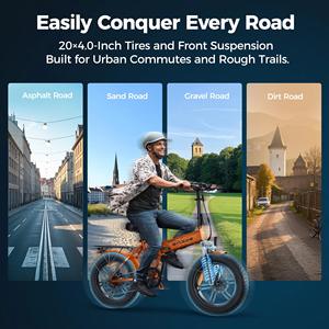 Bicicleta Eléctrica Plegable Engwe EP-2 Boost, Envío Gratis en la UE, Velocidad de 25 km/h, Cumple con las Normativas de la UE, Movilidad Urbana Inteligente - Product Image 6