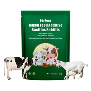 牛ヤギ牛用高タンパク質2% プレミックスフィード枯草菌乳酸菌家畜用食品サプリメント