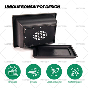Kit Lengkap Menanam Bonsai Sendiri dengan Peralatan & Pot - Kit Pemula Ramah Lingkungan & Tahan Lama untuk Rumah & Kebun - Product Image 3