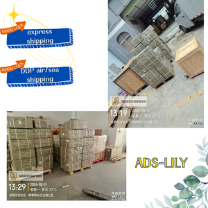 Logistique aérienne et express à faible coût pour l'Asie du Sud-Est – Canal spécial pour batteries, liquides, poudres, produits de santé – Service d'assurance DDP - Product Image 4