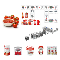 Ligne de production industrielle de sauce tomate personnalisée Lazen Factory 10 à 600 tonnes par jour, machine à fabriquer de la pâte de tomate