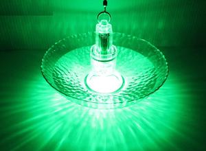 Lampe <span class=keywords><strong>de</strong></span> pêche LED activée par l'eau, 11 cm, lampe attirante pour poissons sous-marins pour la pêche nocturne <span class=keywords><strong>en</strong></span> haute <span class=keywords><strong>mer</strong></span>, <span class=keywords><strong>en</strong></span> lac et <span class=keywords><strong>en</strong></span> rivière - Product Image 6