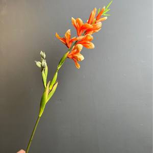 Flor Artificial de Canna, Planta Tropical de Canna Artificial, Arreglo Floral Decorativo Grande, Decoración para Bodas, Fiestas, Hogar y Jardín - Product Image 6