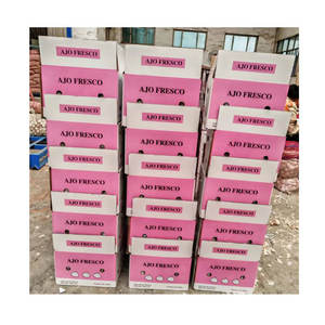 Semillas <span class=keywords><strong>de</strong></span> <span class=keywords><strong>ajo</strong></span>/semillas <span class=keywords><strong>de</strong></span> <span class=keywords><strong>ajo</strong></span> <span class=keywords><strong>de</strong></span> alta producción/semillas <span class=keywords><strong>de</strong></span> <span class=keywords><strong>ajo</strong></span> y semillas <span class=keywords><strong>de</strong></span> <span class=keywords><strong>ajo</strong></span> <span class=keywords><strong>chino</strong></span> con bolsa <span class=keywords><strong>de</strong></span> malla y paquete <span class=keywords><strong>de</strong></span> cesta - Product Image 3