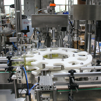 Machine de remplissage automatique de bouteilles Woozy pour sauces piquantes, sirops et huiles, avec capsulage et étiquetage
