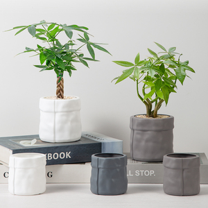 Maceta <span class=keywords><strong>de</strong></span> Plástico PP Yicai, Duradera, Ecológica, Diseño Moderno, Pared Gruesa, Portaplumas, para Hogar y Jardín - Product Image 6