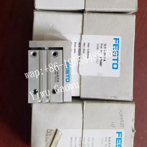Cilindro Neumático Original Festos 569793 DGSC-6-10-P-L - Product Image 4