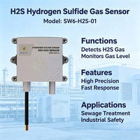Capteur de sulfure d'hydrogène (H2S) à large plage de tension DC9 36V SW6H2S01, RS485 Modbus RTU, IP65, détection en temps réel des gaz dangereux industriels