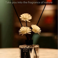 Lot en gros de diffuseurs à bâtonnets en verre de luxe faits à la main de 50 ml, 14 parfums, huiles essentielles végétales naturelles, aromathérapie désodorisante pour