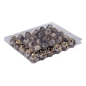 30 cells quail egg tray plastic quail egg tray for sale