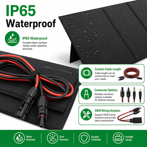 High Efficiency 600 Watt <b>Solar</b> <b>Foldable</b> 24V Monocrystalline Silicon <b>Solar</b> Portable 500W 400W Camping <b>Solar</b> for - Product Image 4