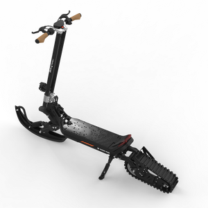 Scooter <span class=keywords><strong>des</strong></span> <span class=keywords><strong>neiges</strong></span> <span class=keywords><strong>Freestyle</strong></span> rapide de haute qualité OEM pour adultes, avec commande amovible personnalisée, fabriqué - Product Image 3