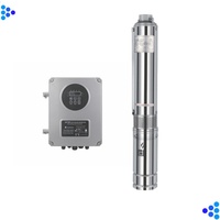Pompe submersible pour puits profond en acier inoxydable HD-3SC2-130-72-750-LV 0,75 kW, système d'eau solaire électrique OEM TECHNIC POWER, garantie 1 an
