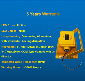 ATEx IP66 300W 400W 500W LED防爆泛光灯二合一专业防爆灯工业照明 - Product Image 5