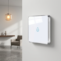 Interrupteur mural intelligent Tuya, interrupteur tactile Wi-Fi, interrupteur intelligent pour maison connectée 30A, panneau d'interrupteur en verre trempé