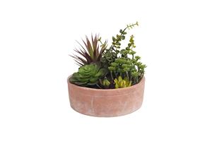 OH NGHỆ THUẬT Thương hiệu Mới hỗn hợp mọng nước chậu cây nhân tạo hỗn hợp mọng nước trong đất nung nồi cho văn phòng trang trí - Product Image 4