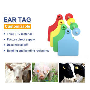 ป้ายหูปศุสัตว์สำหรับติดหูแบบกำหนดหมายเลขได้เองป้ายหูปศุสัตว์แบบ YTET015 - Product Image 5