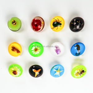 Espécimen de Resina, Taxidermia, Artesanía de Resina, Espécimen de Insecto, <span class=keywords><strong>Insectos</strong></span> en Resina, Regalo Especial, Alfileres con Plantas Encapsuladas en Resina - Product Image 1