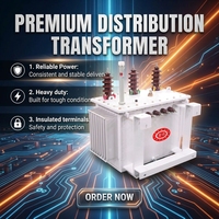 Transformateur de puissance industriel immergé dans l'huile, triphasé 6,6 kV 415 V, à double enroulement, 50 kVA, 100 kVA, 150 kVA, 250 kVA